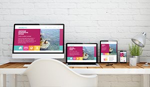 Impressum übersetzen lassen